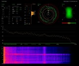 4.01- Coda di lupo.wav_report.jpg